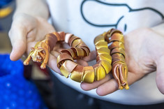 Stoisko Politechniki Rzeszowskiej na targach Edu Salon,